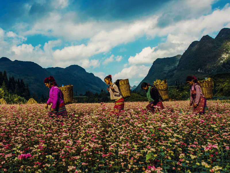 Ha Giang - Vietnam