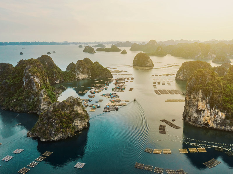 Halong Bay - Vietnam